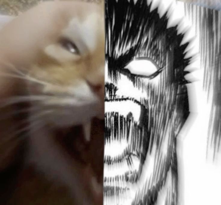 Usaha testing restaurant